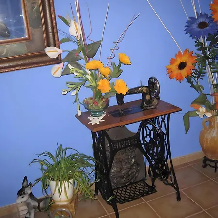 Casa * Maluenda